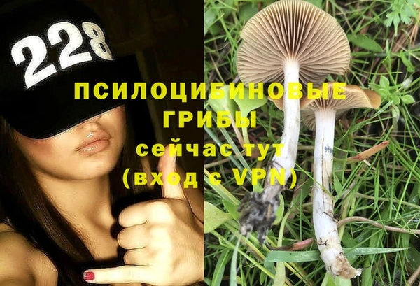 Альфа ПВП Володарск