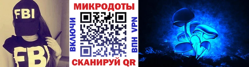 Псилоцибиновые грибы Psilocybe Питкяранта